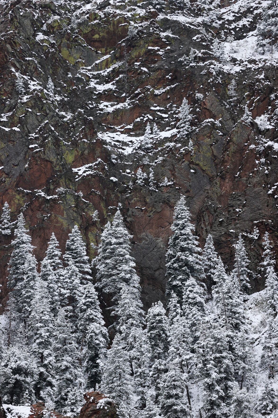 091020-news-snow 13.jpg